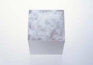 全室DAM完備のカラオケ店「ビッグエコー」の魅力徹底ガイド