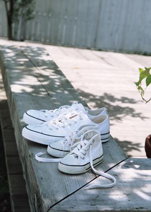 2026年版｜風水と財布の運気アップ術：金運を引き寄せる効果的な対策ポイント